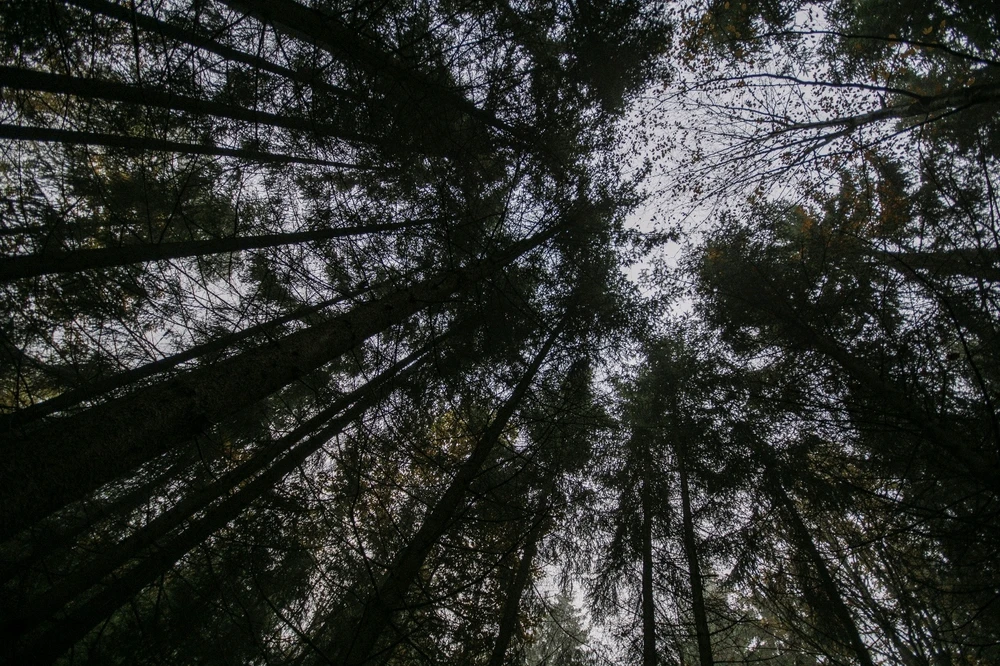 Bild hochgeladen von Goran