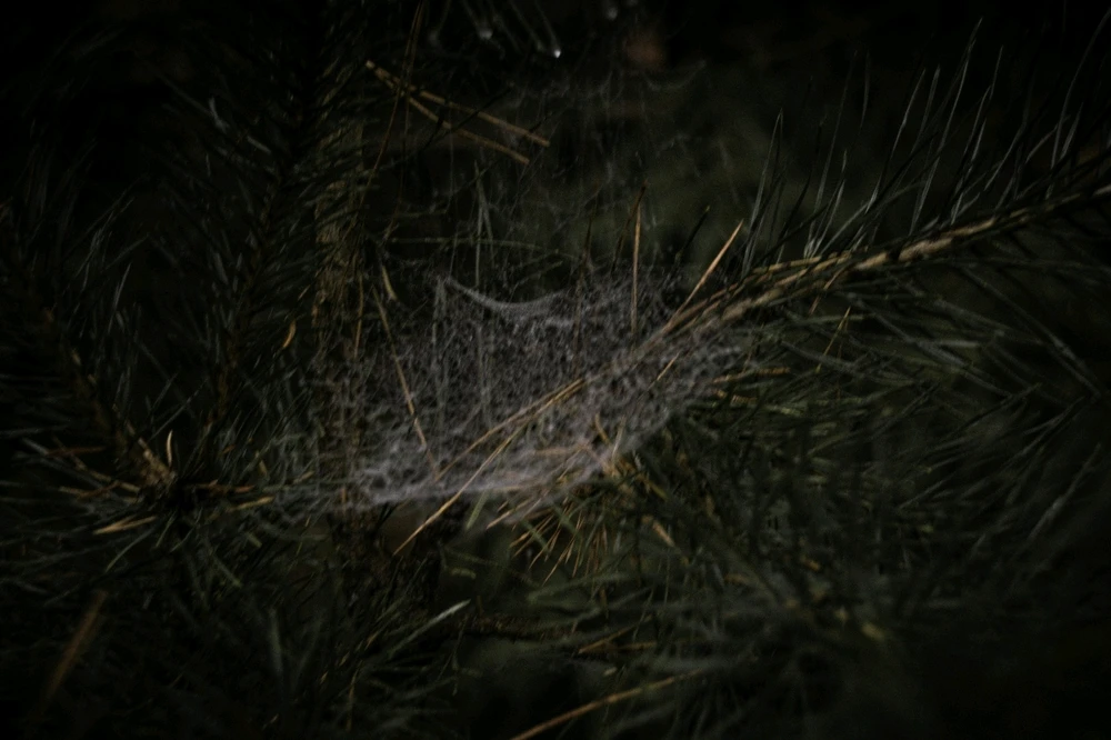 Bild hochgeladen von Goran