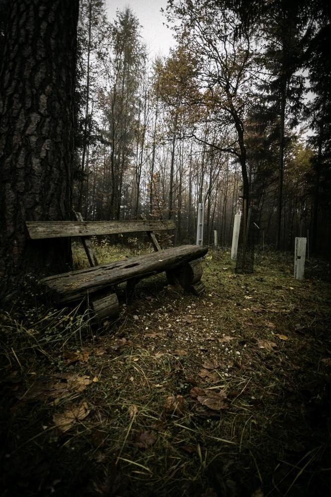 Bild hochgeladen von Goran