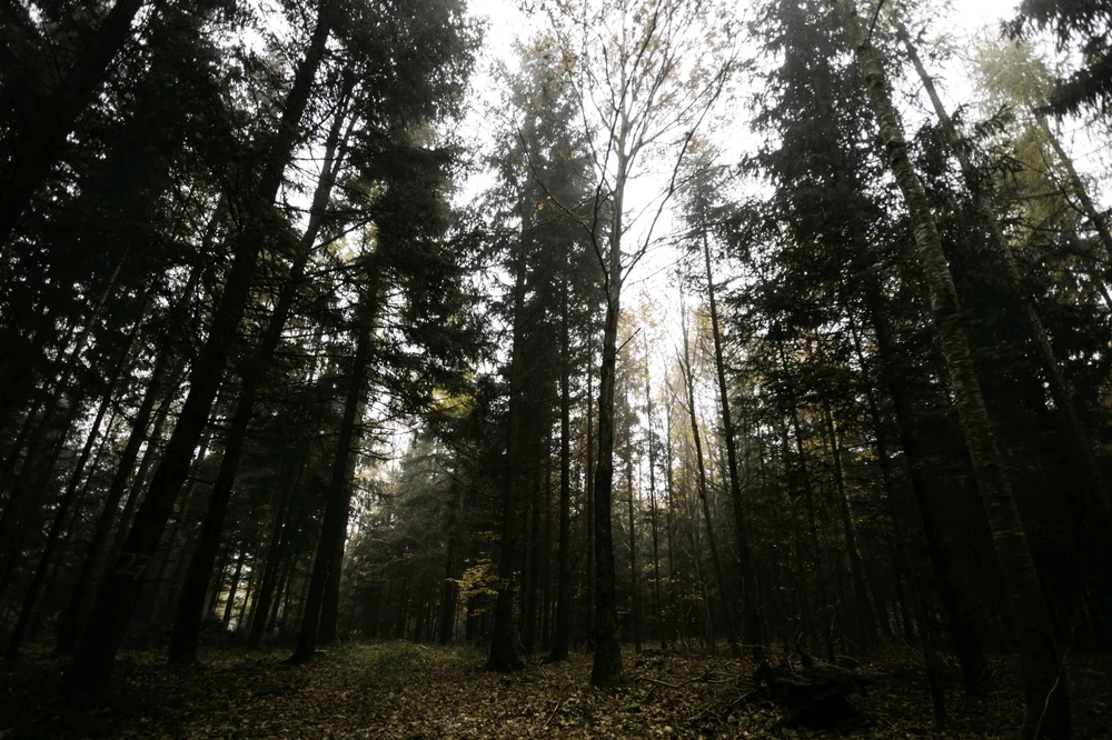 Bild hochgeladen von Goran