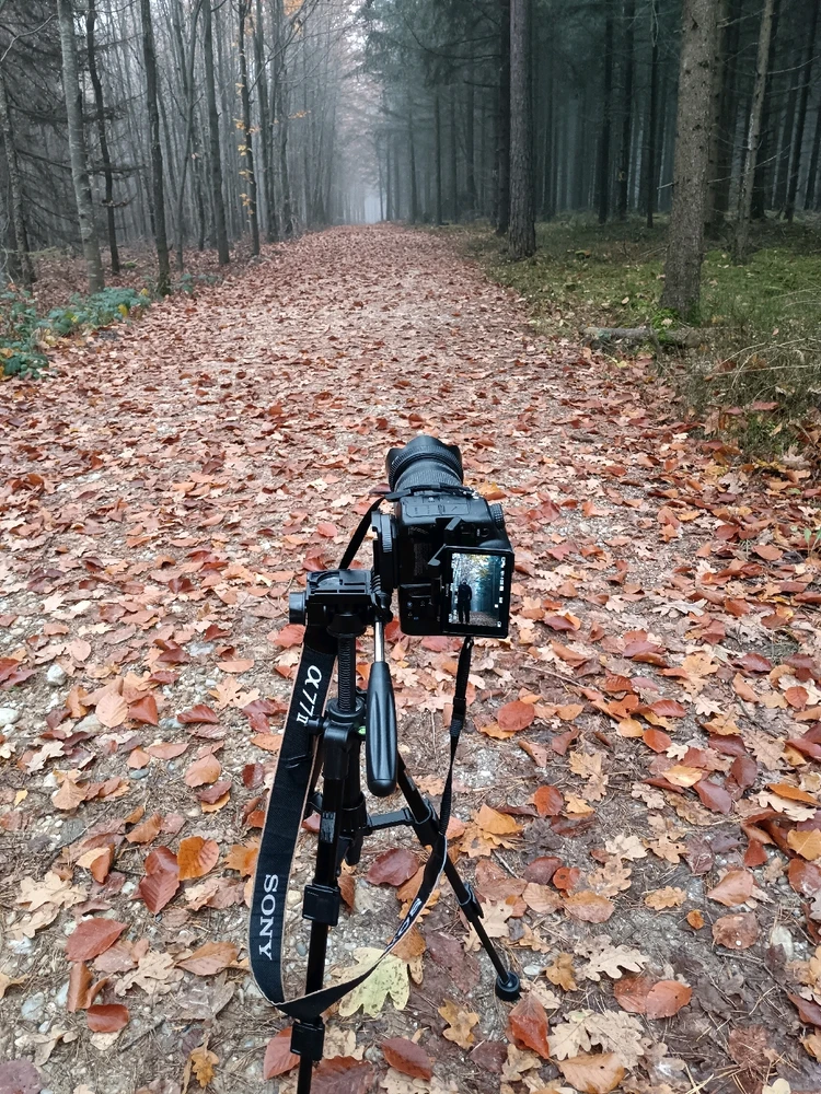 Bild hochgeladen von Goran