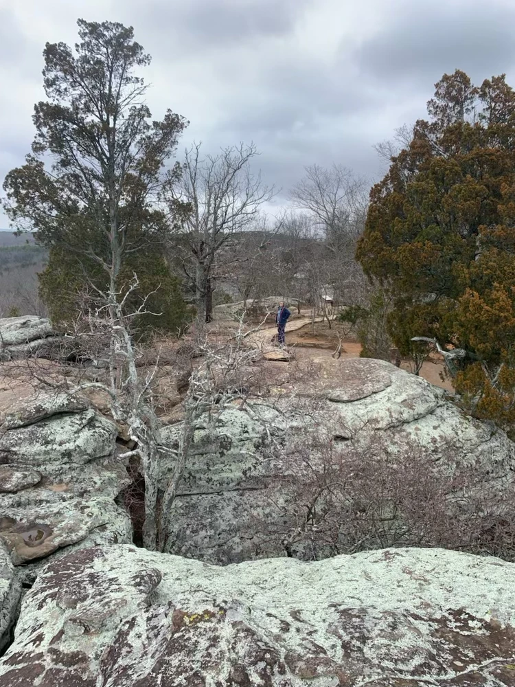 Image uploaded by Robbie