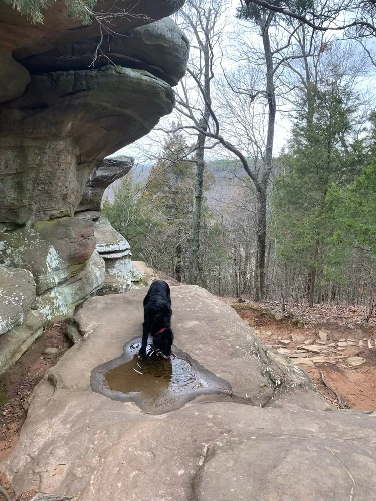 Image uploaded by Robbie