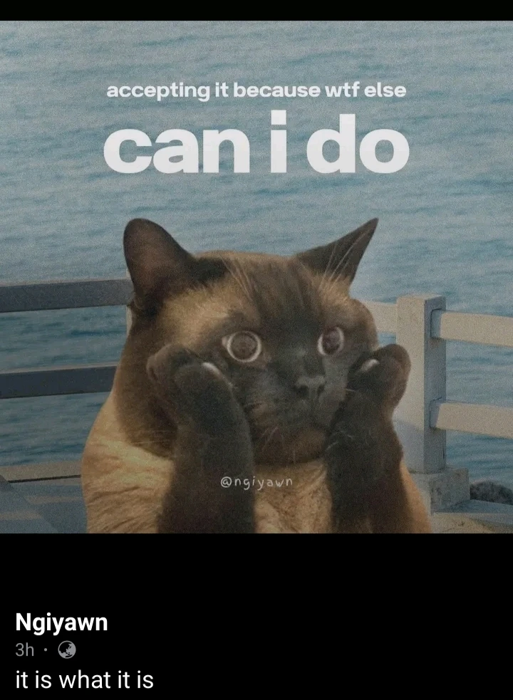 GIF gi-upload ni Sessile