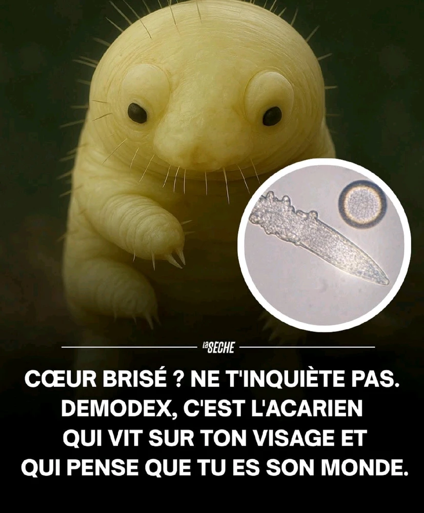 Jamais seul (e) beubeule 🐛🐛