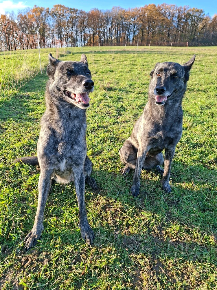 Obrázek nahrál Pawel