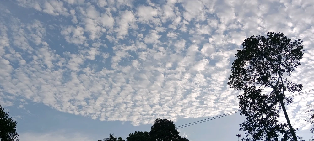 Image uploaded by Divaa