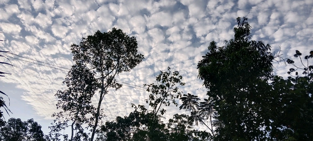 Image uploaded by Divaa