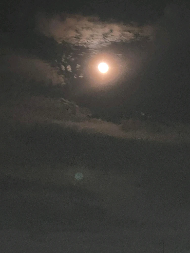 Image uploaded by Natalie