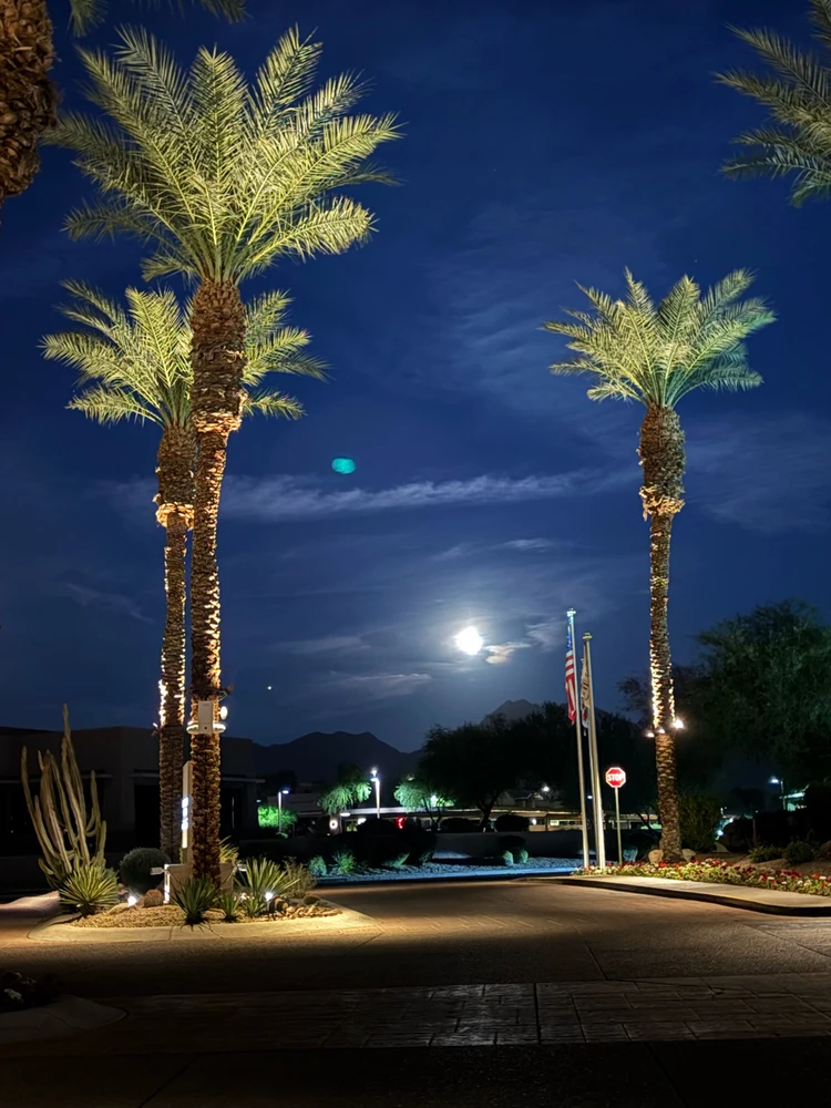 Desert super moon 🏜️🌵🌕