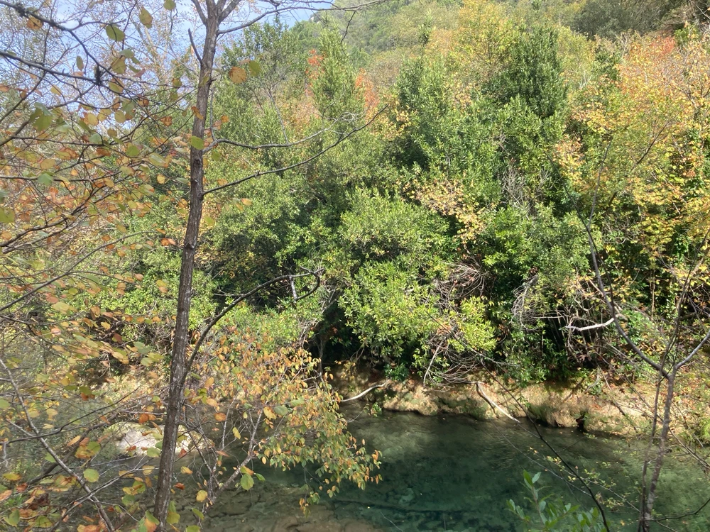 Image ajoutée par Julien