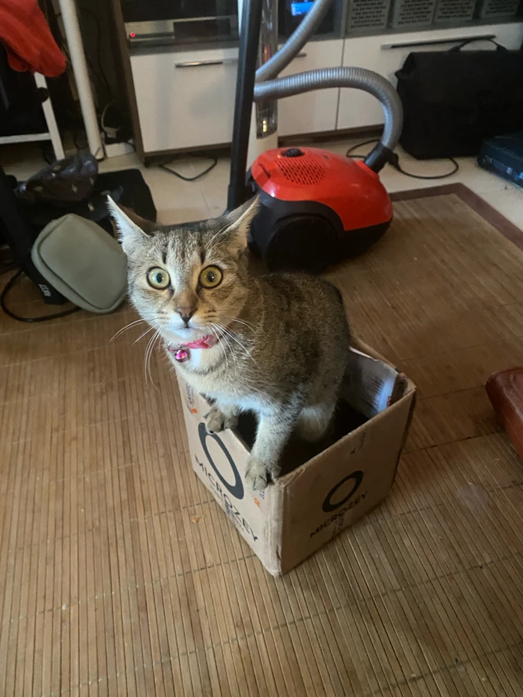 Yeah.. Caught you boxing, too..