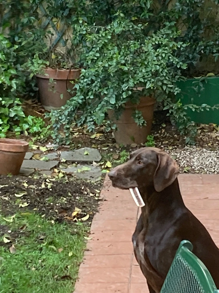 Image uploaded by Carlo