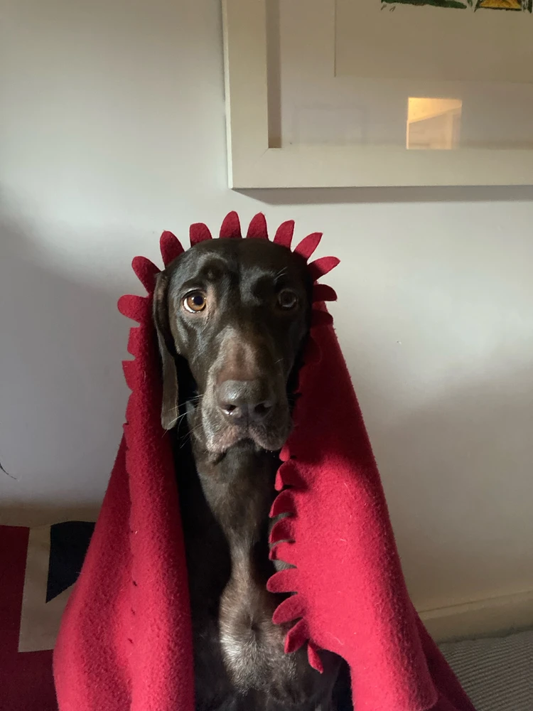 Image uploaded by Carlo