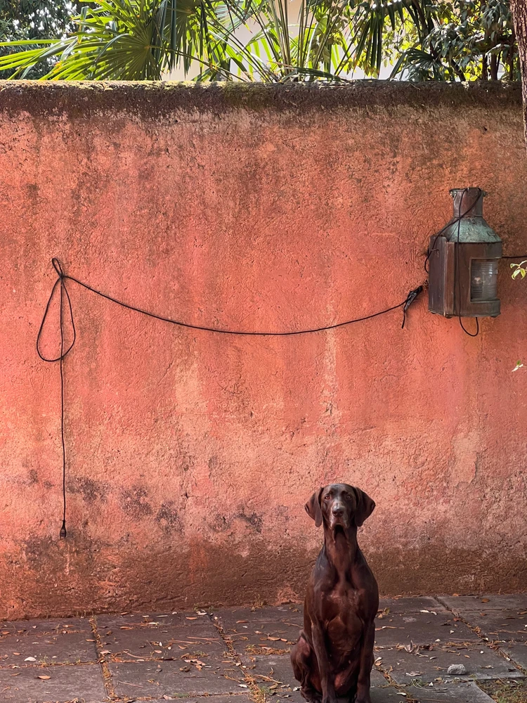 Image uploaded by Carlo