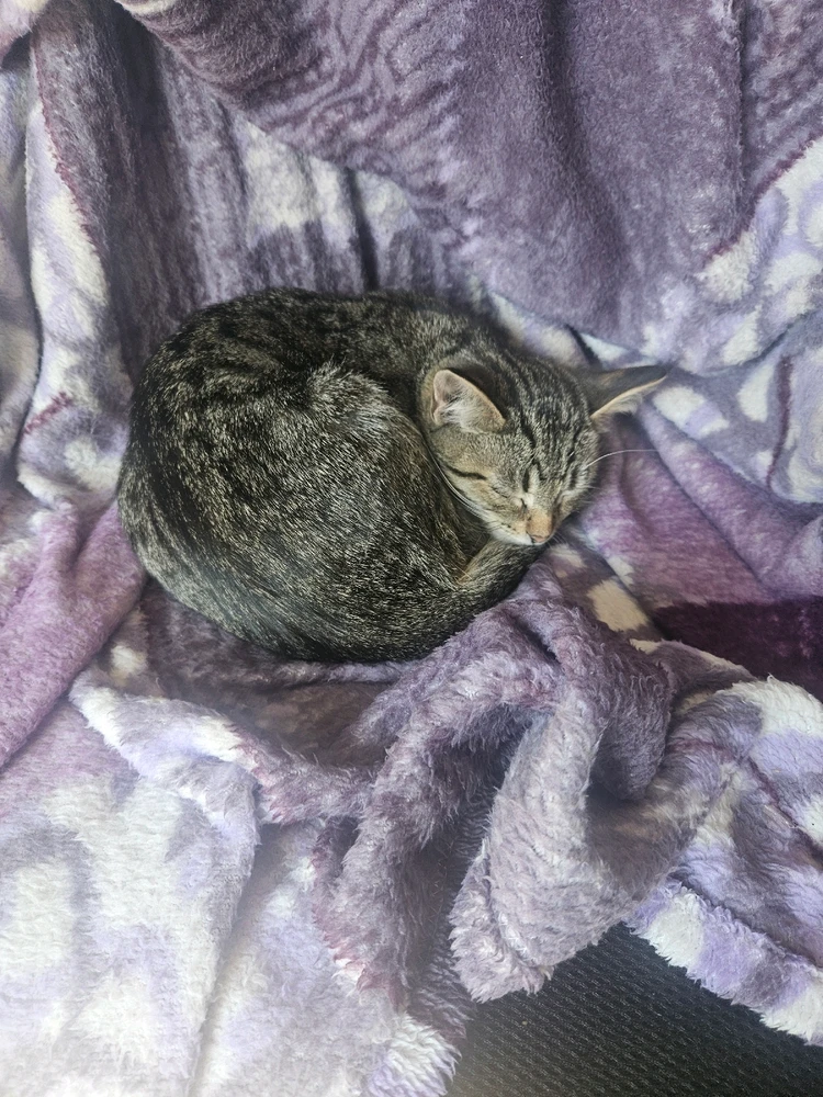 Зображення завантажив Данило