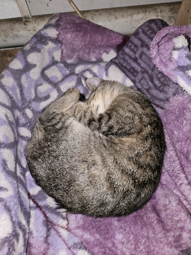 Зображення завантажив Данило