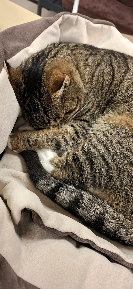 I love everything about this place π₯Ίβ€οΈ