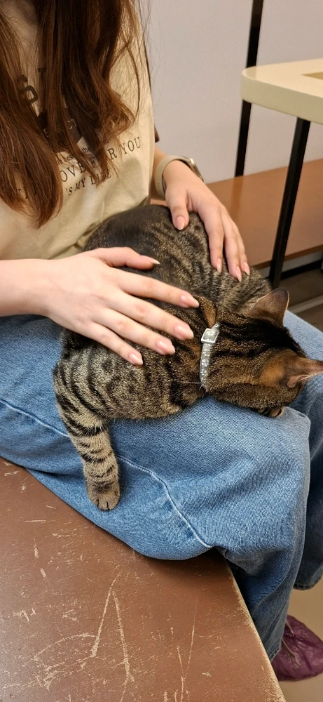 I love everything about this place π₯Ίβ€οΈ