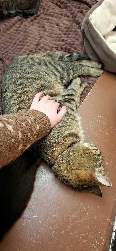 I love everything about this place π₯Ίβ€οΈ