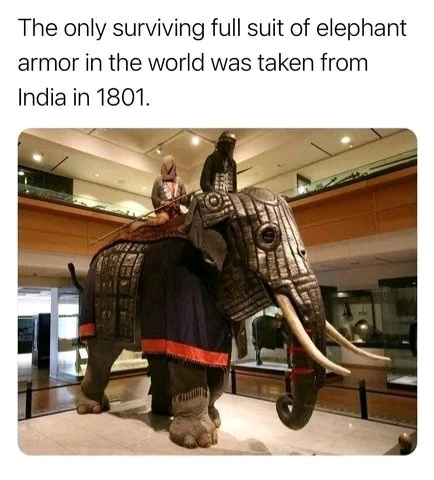 🐘