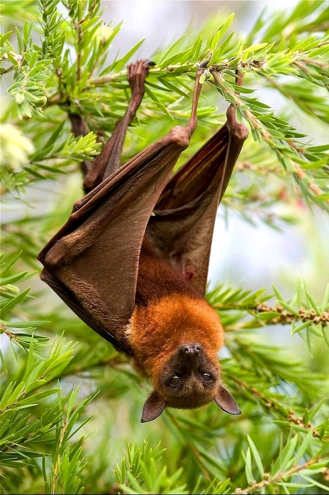 Зображення завантажив Natalia🦇