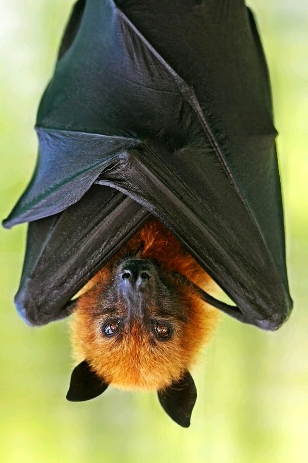 Зображення завантажив Natalia🦇