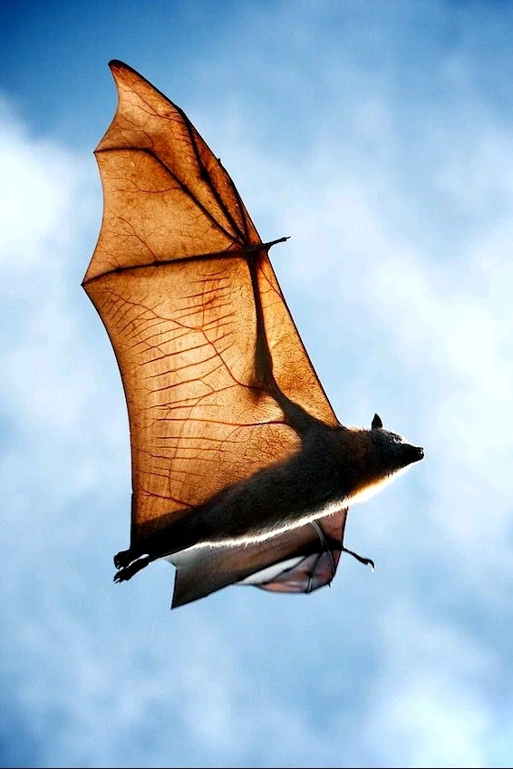 Зображення завантажив Natalia🦇