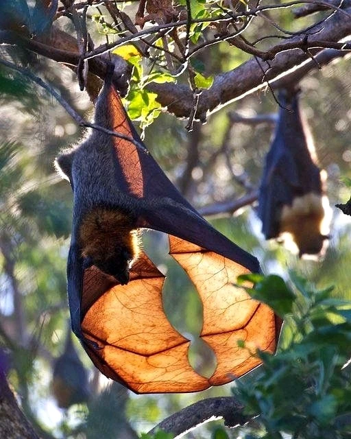 Зображення завантажив Natalia🦇