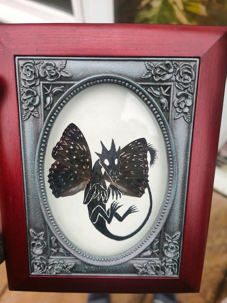 Image uploaded by Dave