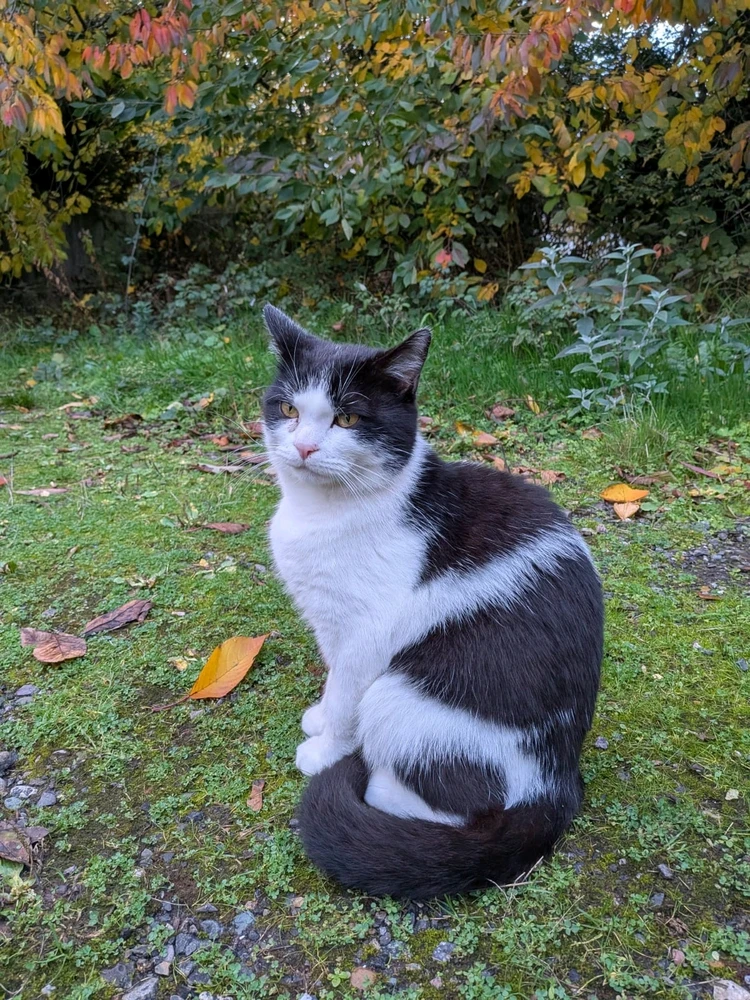 Little Jeremy! π₯°π₯°β€οΈβ€οΈ