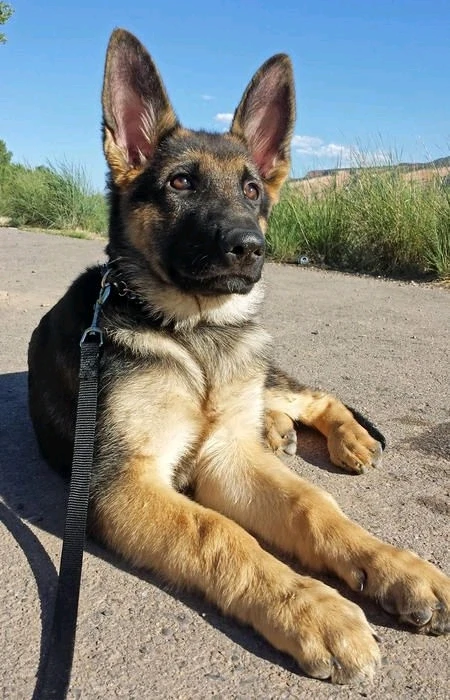 So beautiful 🥺🥺✨✨