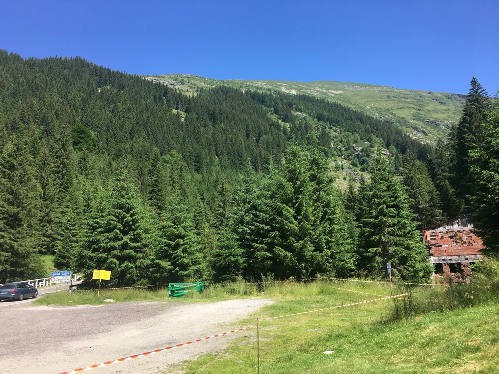 Sliku je učitao/la Vela