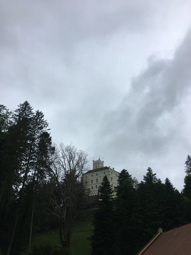 Sliku je učitao/la Vela