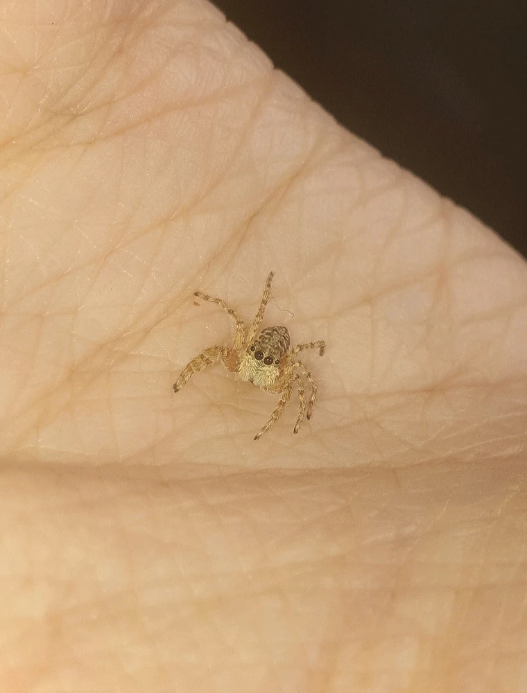 GIF diunggah dening Luna