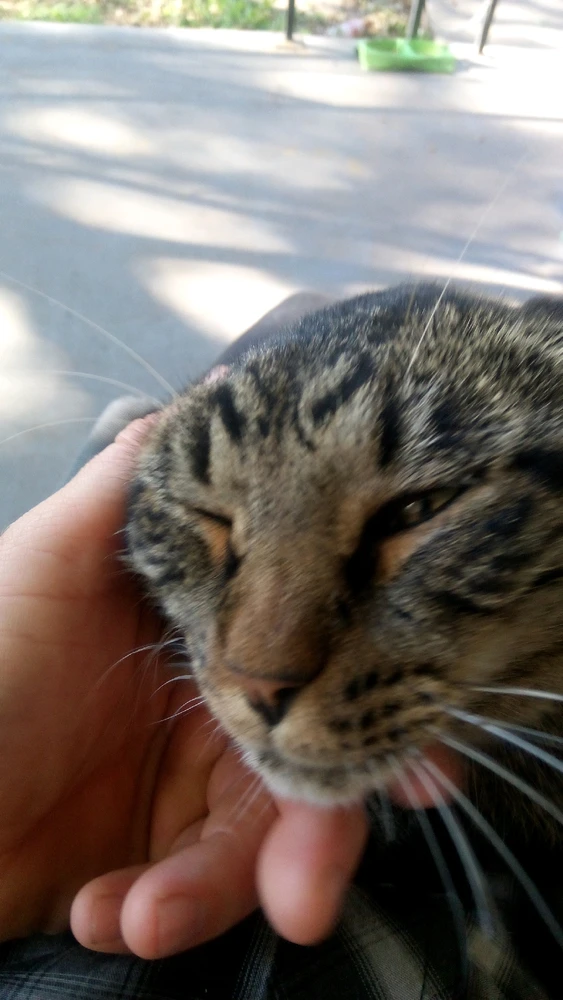 This guy does not like it when I'm on my phone