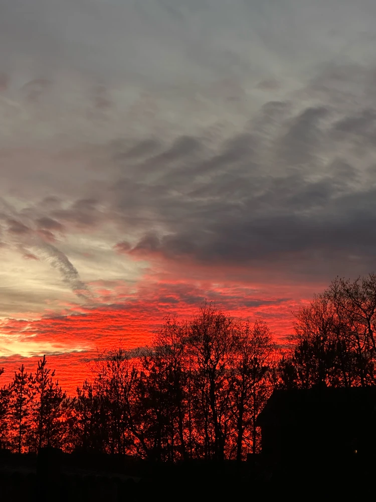 GIF įkėlė Giedrė