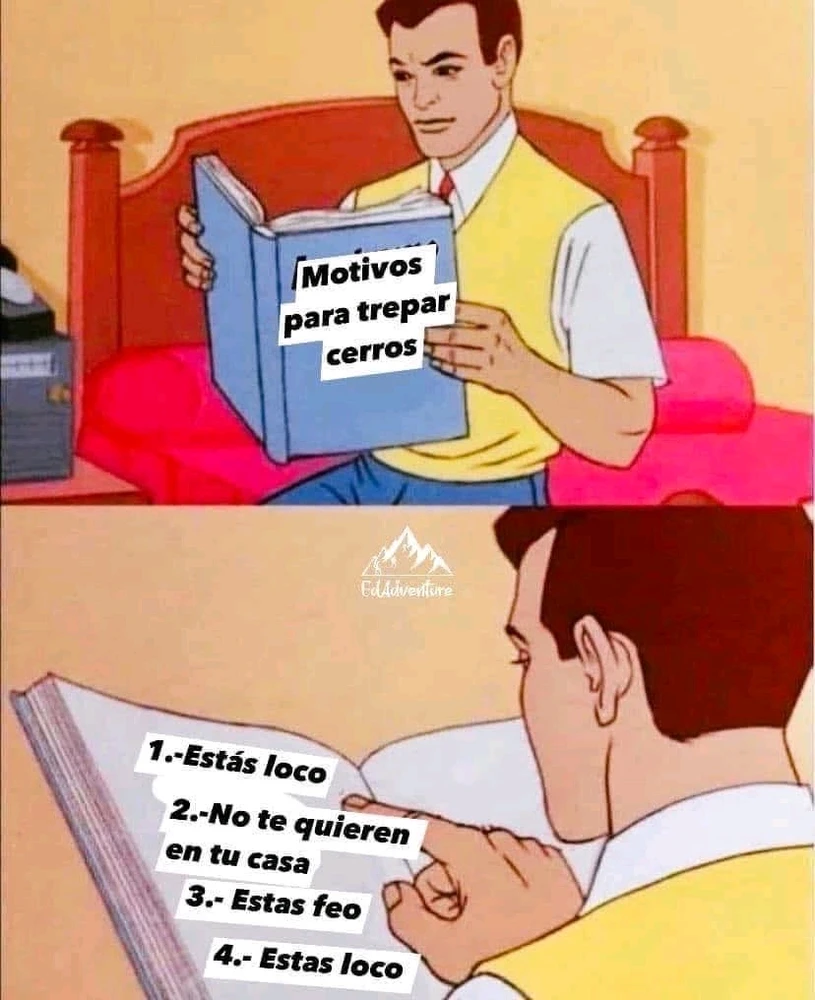 Todas las anteriores