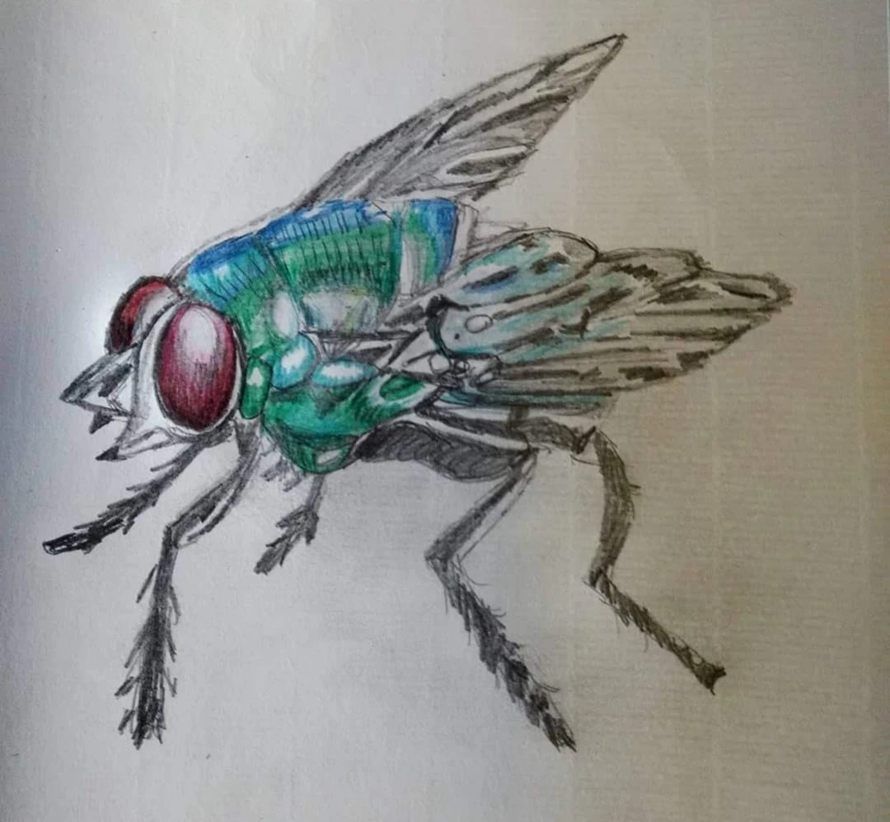 “Words have no wings but they can fly a thousand miles.“