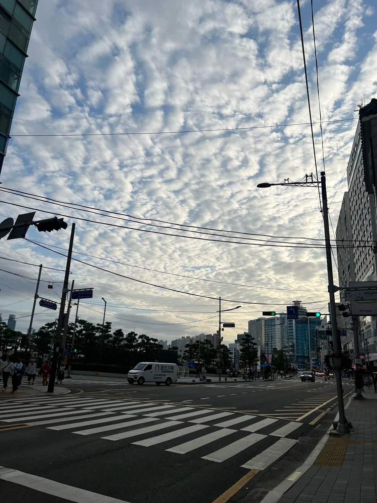 Oh Busan the city you are ☀️