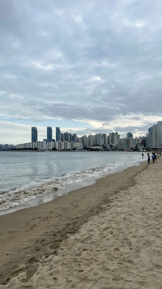 Oh Busan the city you are ☀️