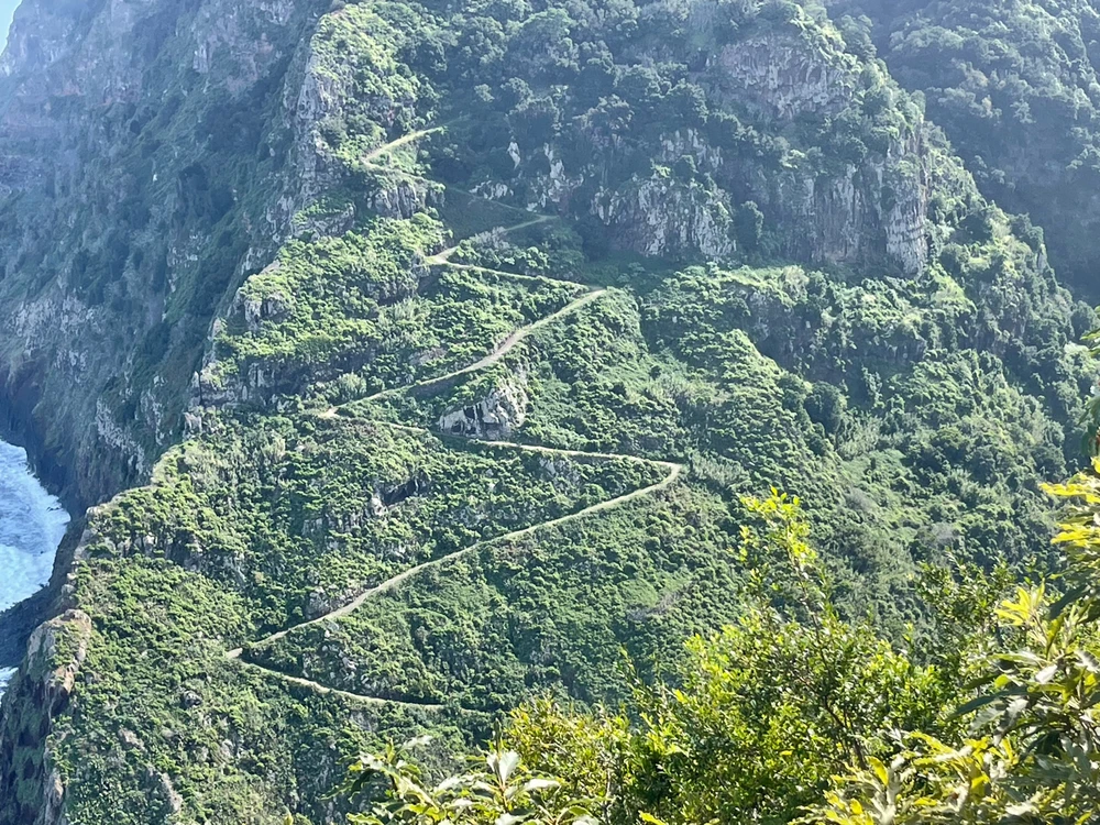 Yes, we hiked up that switch back. That was our second incline of the day. 