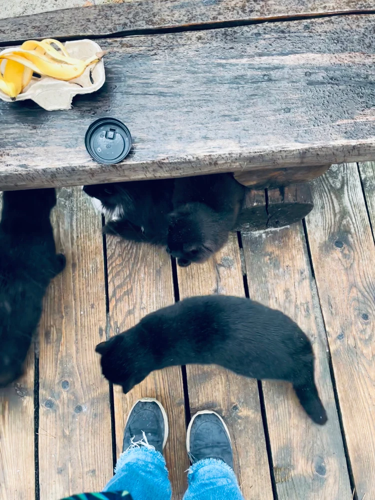 π§ββοΈπββ¬πββ¬πββ¬πββ¬