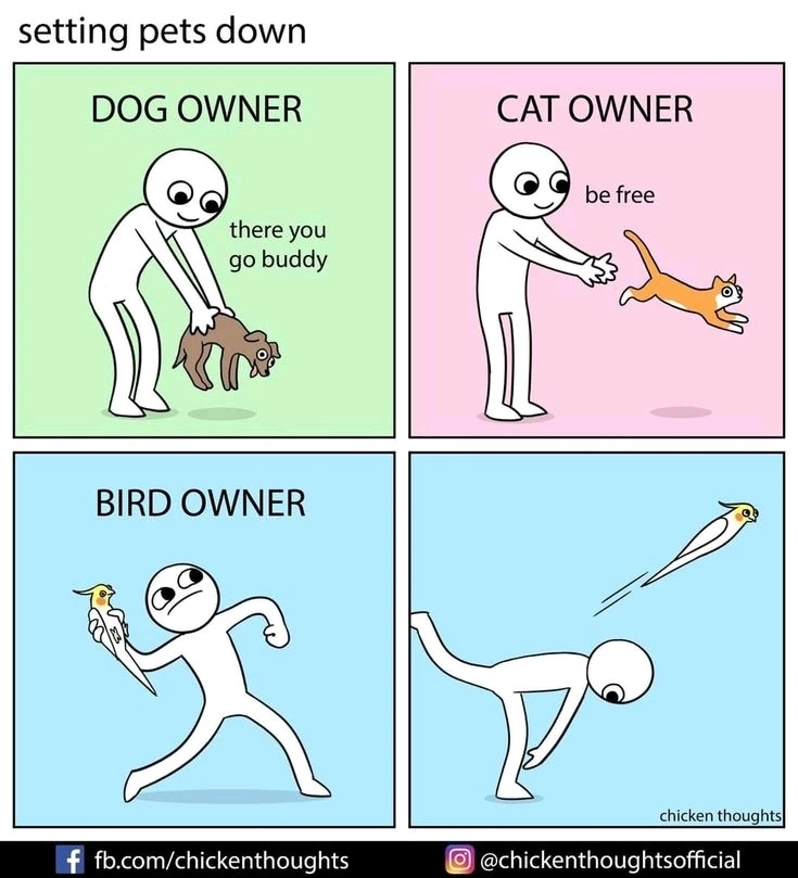 GIF uploaded by Donna