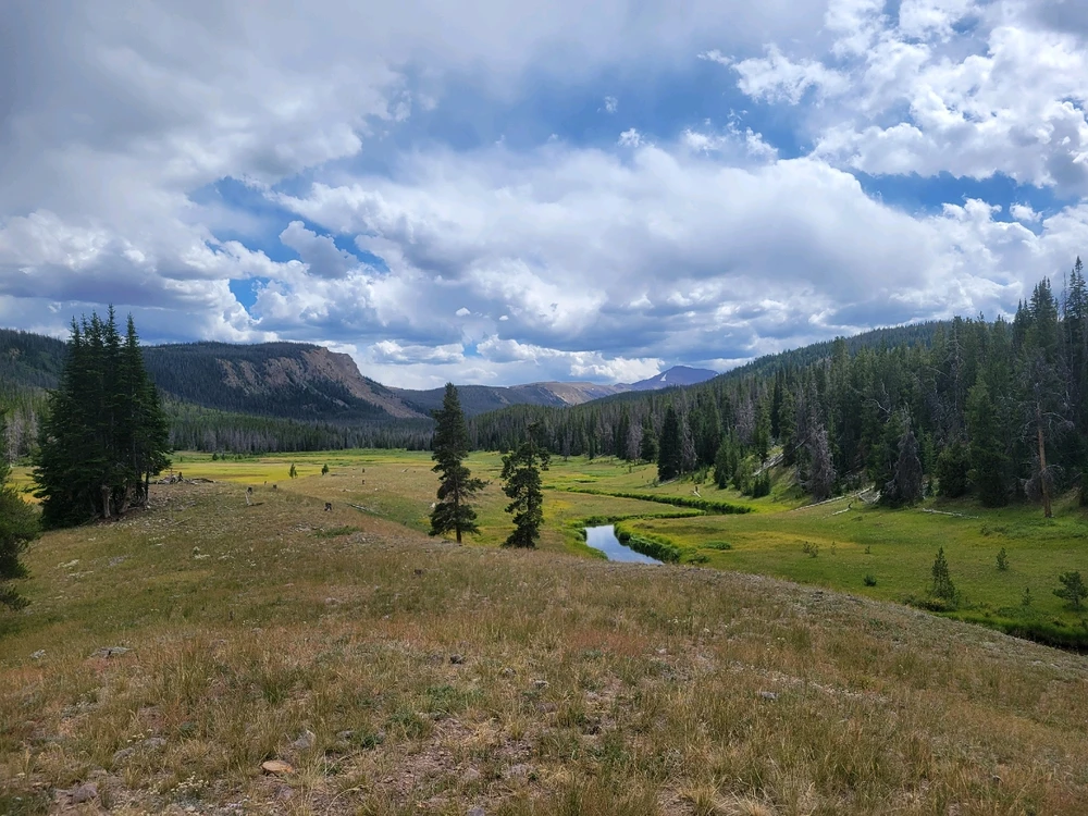 GIF diunggah dening Chase