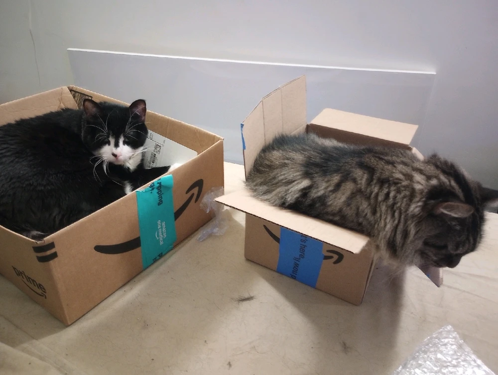 GIF uploaded by Baron