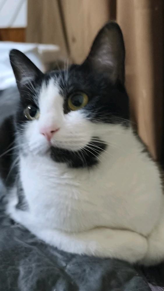 Imagen subida por Luca