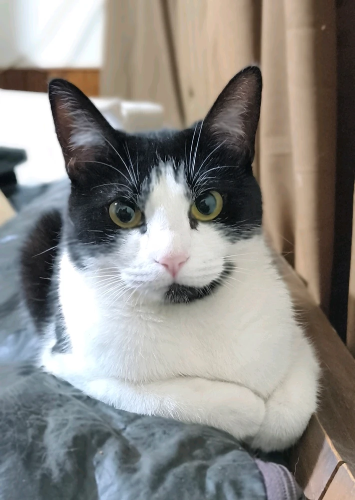 Imagen subida por Luca