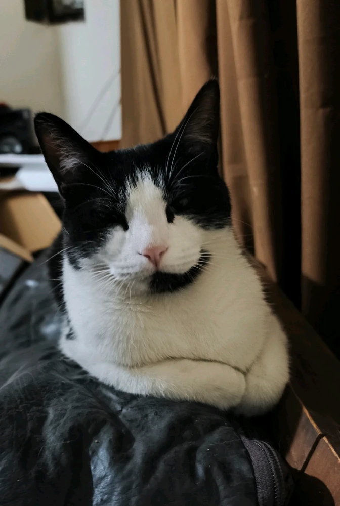 Imagen subida por Luca