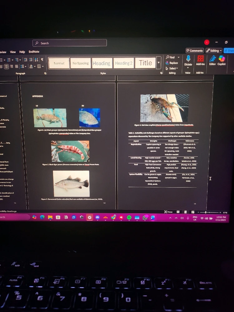 2/3 Assignments completed